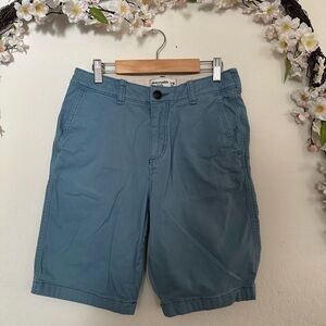 Abercrombie Kids Blue Flat Front Shorts